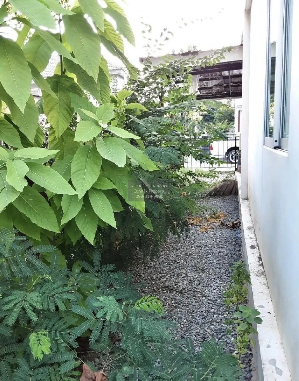 ขายทาวน์เฮ้าส์/ทาวน์โฮม  บ้านพฤกษา 38/3 ชัยพฤกษ์-วงแหวนฯ ไทรน้อย 