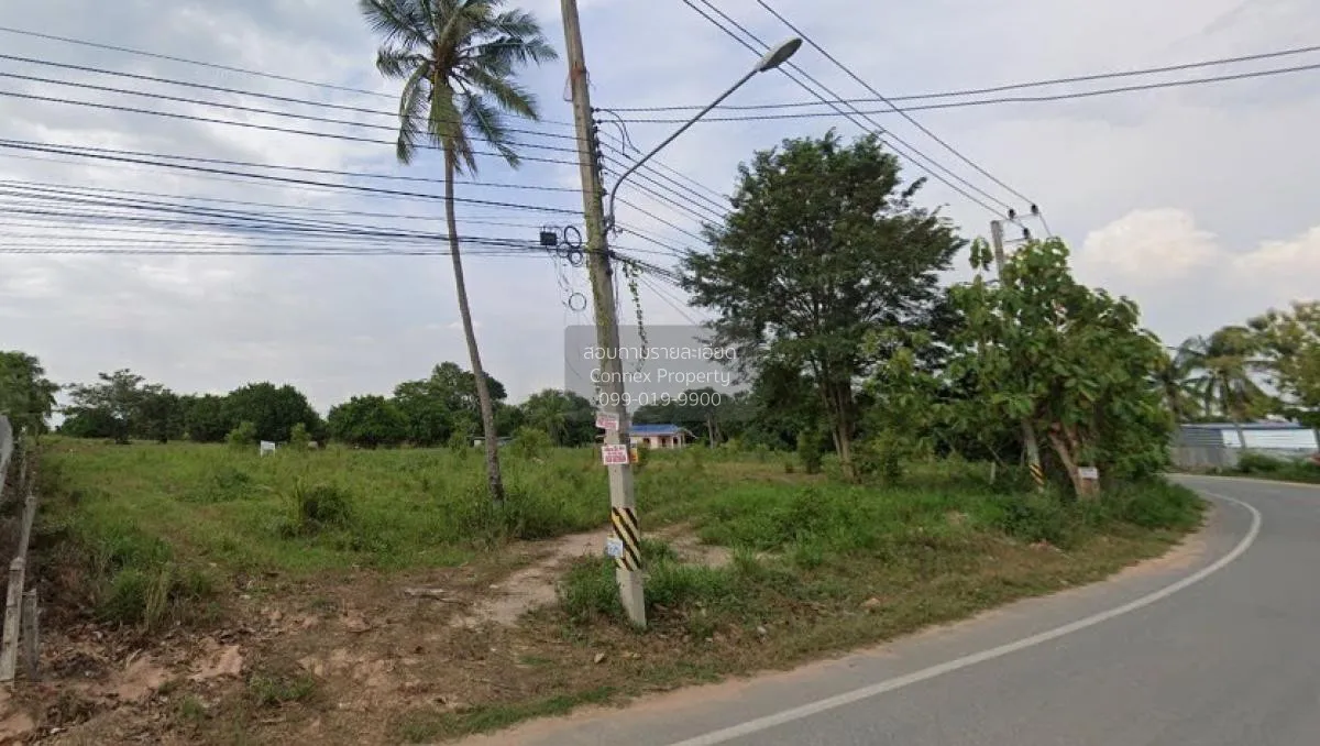 ขายที่ดินพัทยา ทุ่งกลมตาลหมัน 29 เมืองพัทยา บางละมุง ชลบุรี CX-11 1