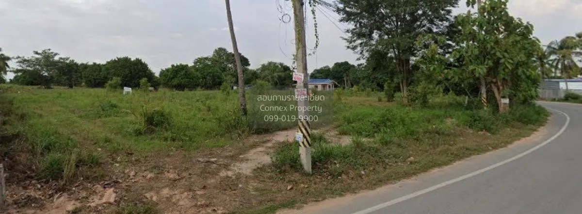 ขายที่ดินพัทยา ทุ่งกลมตาลหมัน 29 เมืองพัทยา บางละมุง ชลบุรี CX-11 2