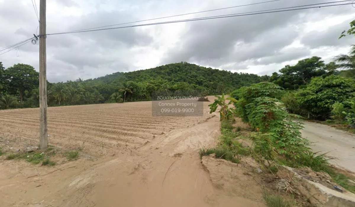 ขายที่ดินทำเลดีในเขาคันทรง เขาคันทรง ศรีราชา ชลบุรี CX-115357 2