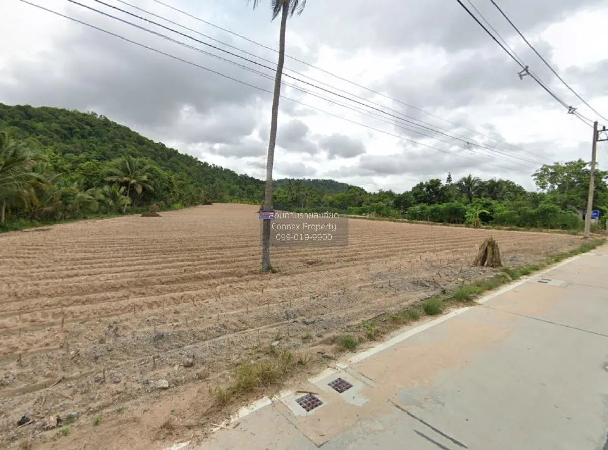ขายที่ดินทำเลดีในเขาคันทรง เขาคันทรง ศรีราชา ชลบุรี CX-115357 3