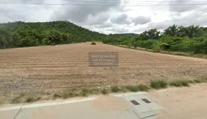 ขายที่ดินทำเลดีในเขาคันทรง เขาคันทรง ศรีราชา ชลบุรี CX-115357