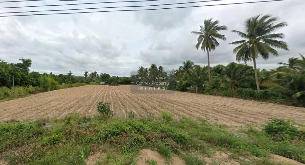 ขายที่ดินทำเลดีในเขาคันทรง เขาคันทรง ศรีราชา ชลบุรี CX-115359 2