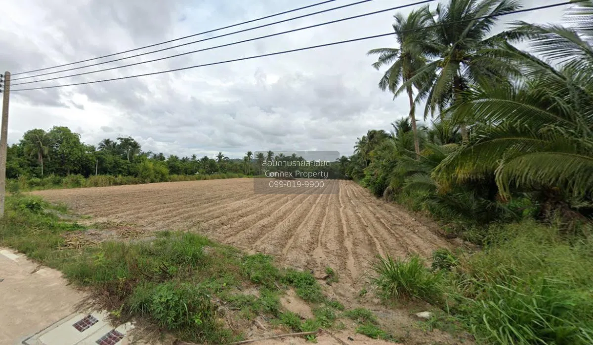 ขายที่ดินทำเลดีในเขาคันทรง เขาคันทรง ศรีราชา ชลบุรี CX-115359 3