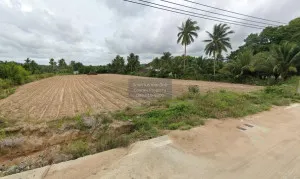 ขายที่ดินทำเลดีในเขาคันทรง เขาคันทรง ศรีราชา ชลบุรี CX-115359