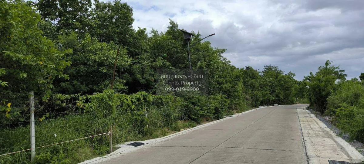 ขายที่ดินในจังหวัดปทุมธานี บางปรอก เมืองปทุมธานี ปทุมธานี CX-1153 3