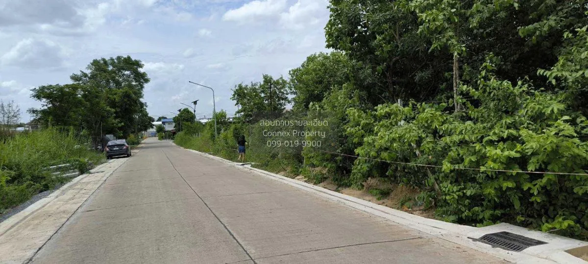 ขายที่ดินในจังหวัดปทุมธานี บางปรอก เมืองปทุมธานี ปทุมธานี CX-1153