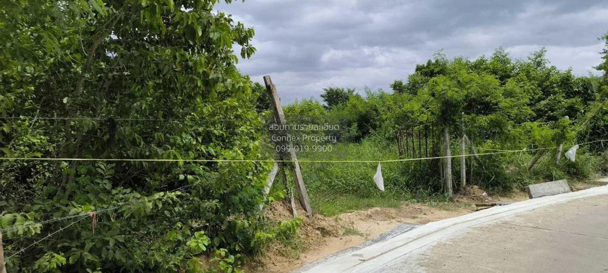 ขายที่ดินในจังหวัดปทุมธานี บางปรอก เมืองปทุมธานี ปทุมธานี CX-1153