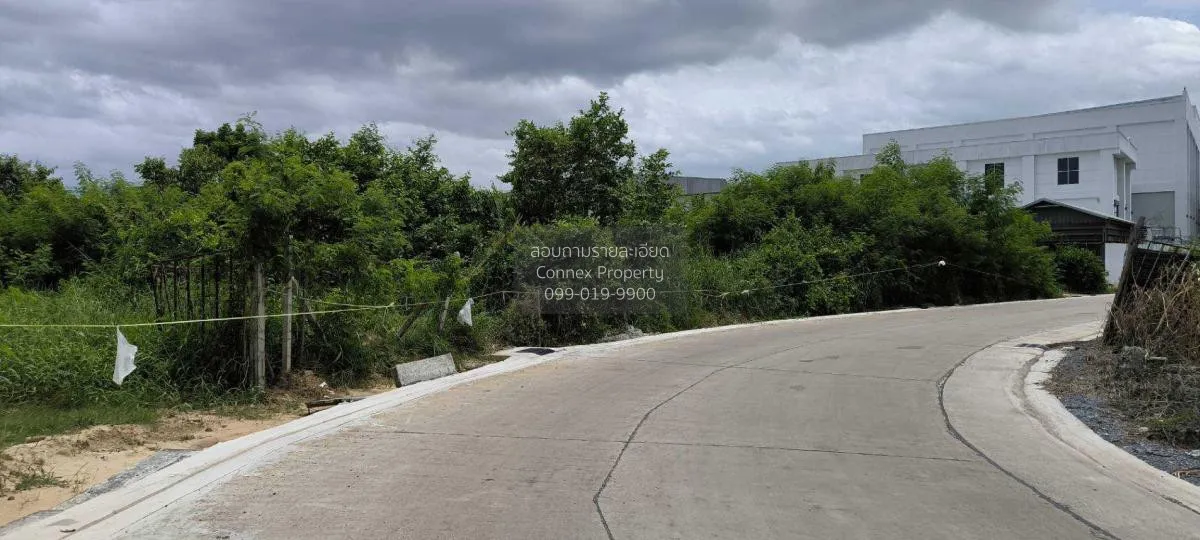 ขายที่ดินในจังหวัดปทุมธานี บางปรอก เมืองปทุมธานี ปทุมธานี CX-1153