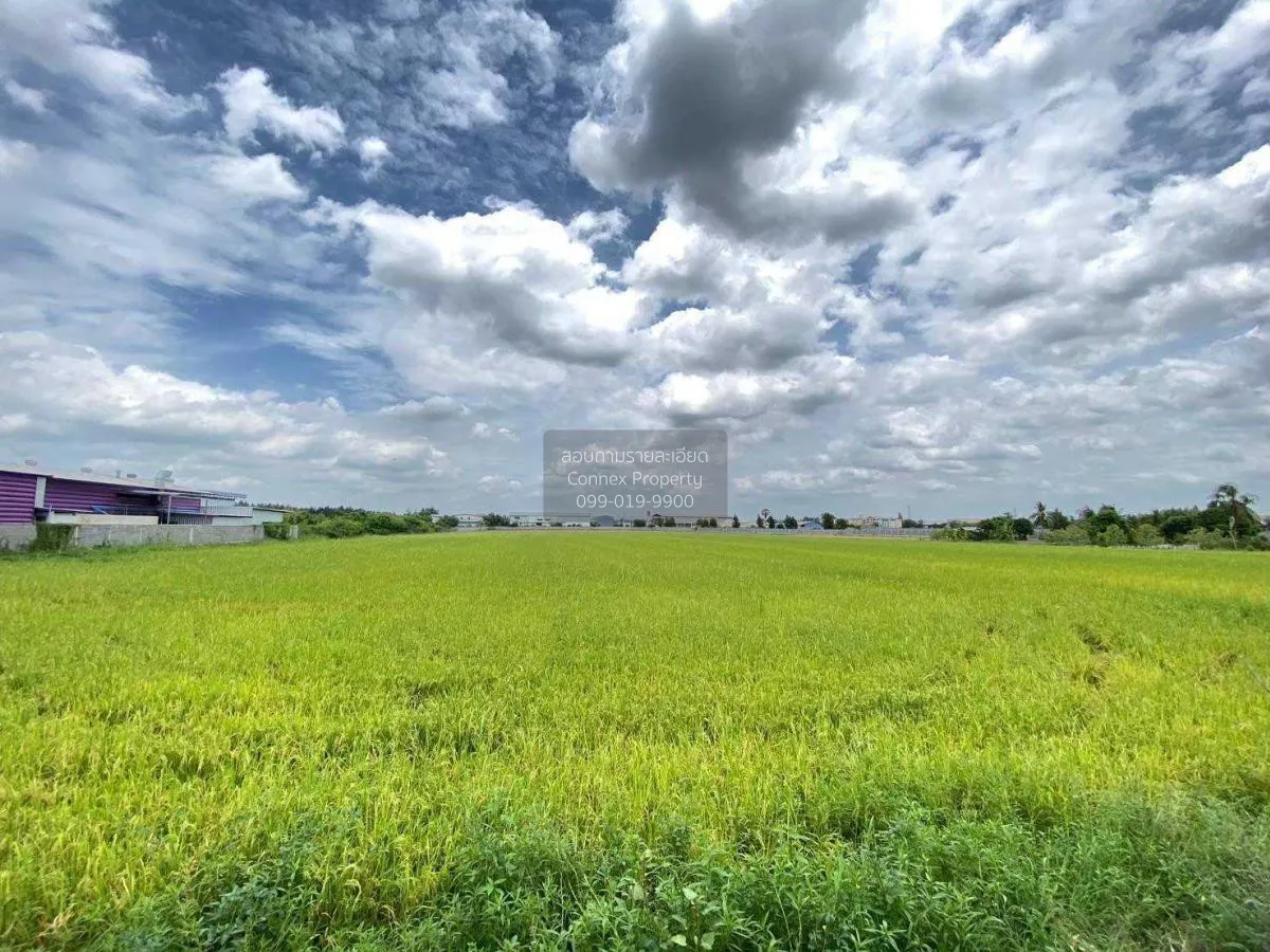 ขายที่ดินทำเลดีในสามโคก, ปทุมธานี ท้ายเกาะ สามโคก ปทุมธานี CX-115 1