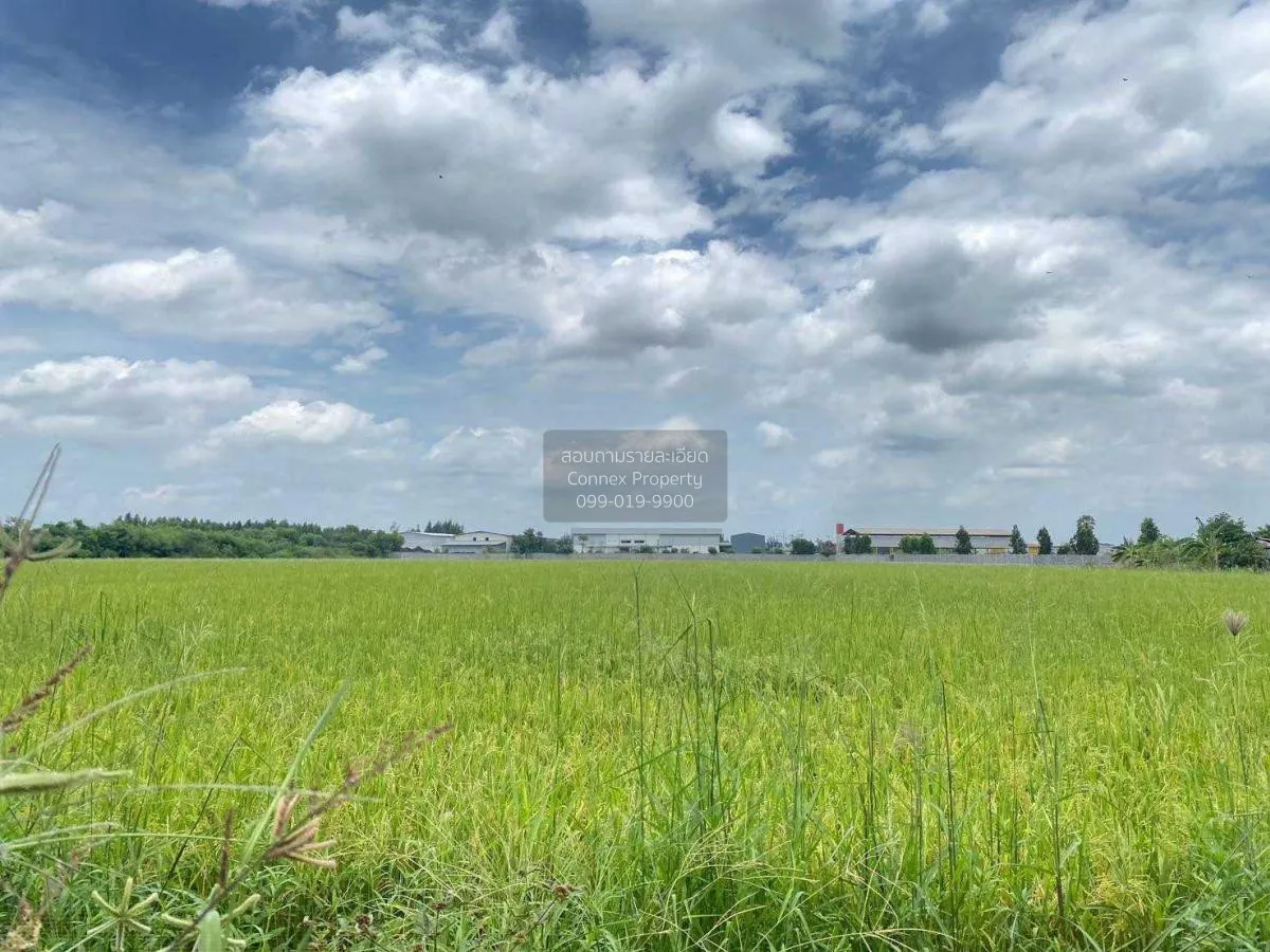 ขายที่ดินทำเลดีในสามโคก, ปทุมธานี ท้ายเกาะ สามโคก ปทุมธานี CX-115 2