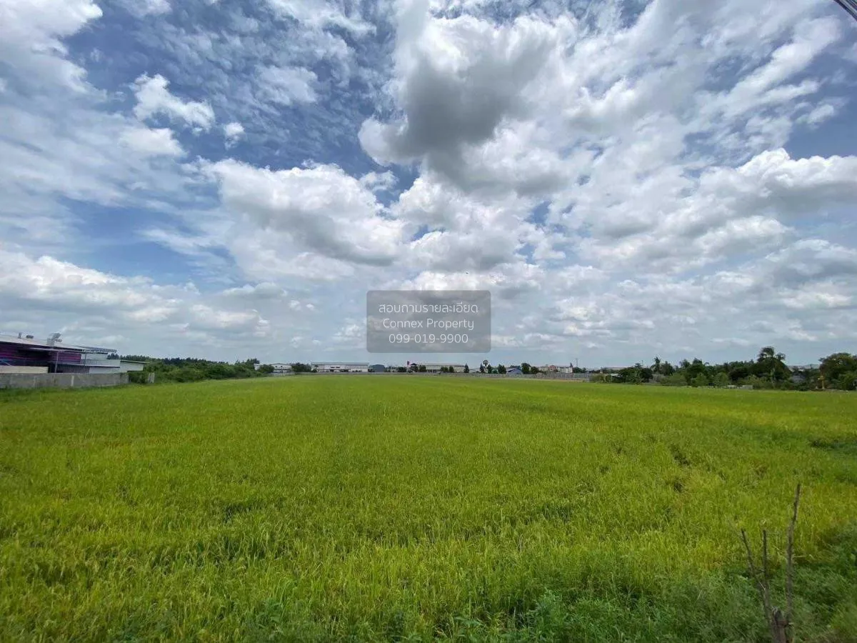 ขายที่ดินทำเลดีในสามโคก, ปทุมธานี ท้ายเกาะ สามโคก ปทุมธานี CX-115 3