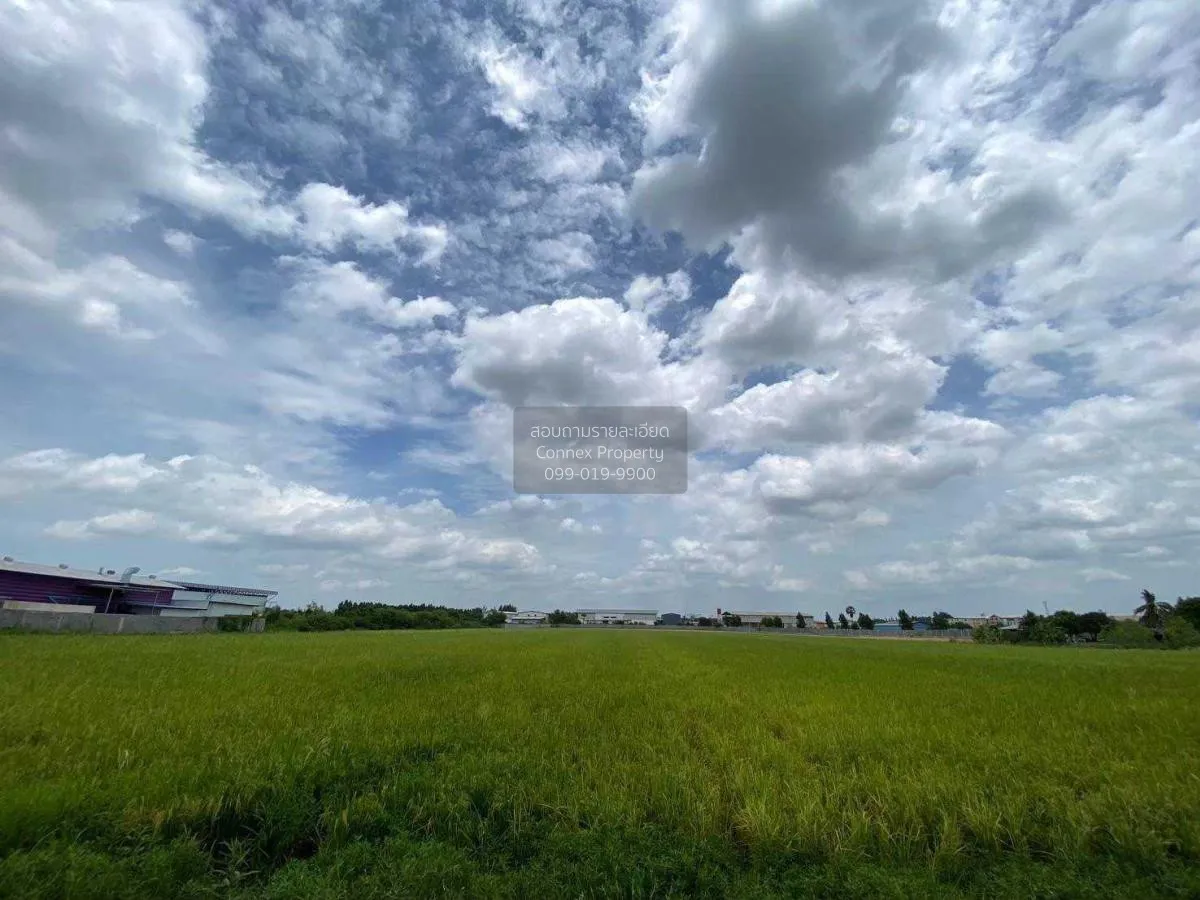 ขายที่ดินทำเลดีในสามโคก, ปทุมธานี ท้ายเกาะ สามโคก ปทุมธานี CX-115 4