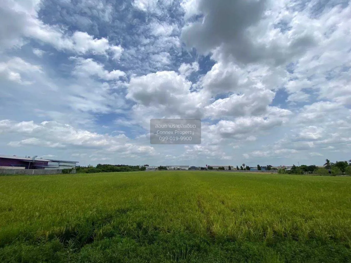 ขายที่ดินทำเลดีในสามโคก, ปทุมธานี ท้ายเกาะ สามโคก ปทุมธานี CX-115