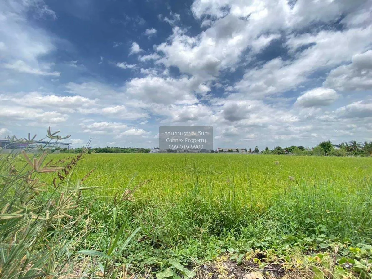 ขายที่ดินทำเลดีในสามโคก, ปทุมธานี ท้ายเกาะ สามโคก ปทุมธานี CX-115