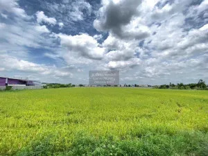 ขายที่ดินทำเลดีในสามโคก, ปทุมธานี ท้ายเกาะ สามโคก ปทุมธานี CX-115364