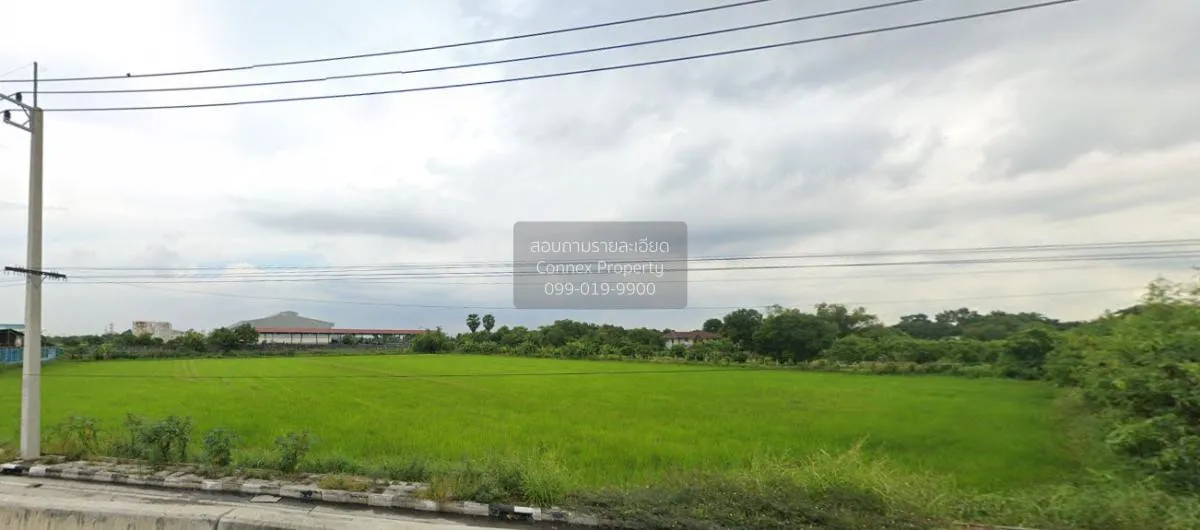 ขายที่ดินเปล่าสามโคก ปทุมธานี คลองควาย สามโคก ปทุมธานี CX-115366 1