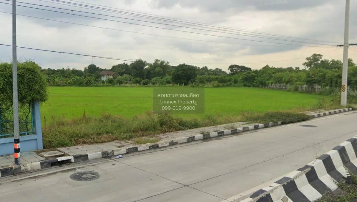 ขายที่ดินเปล่าสามโคก ปทุมธานี คลองควาย สามโคก ปทุมธานี CX-115366 2