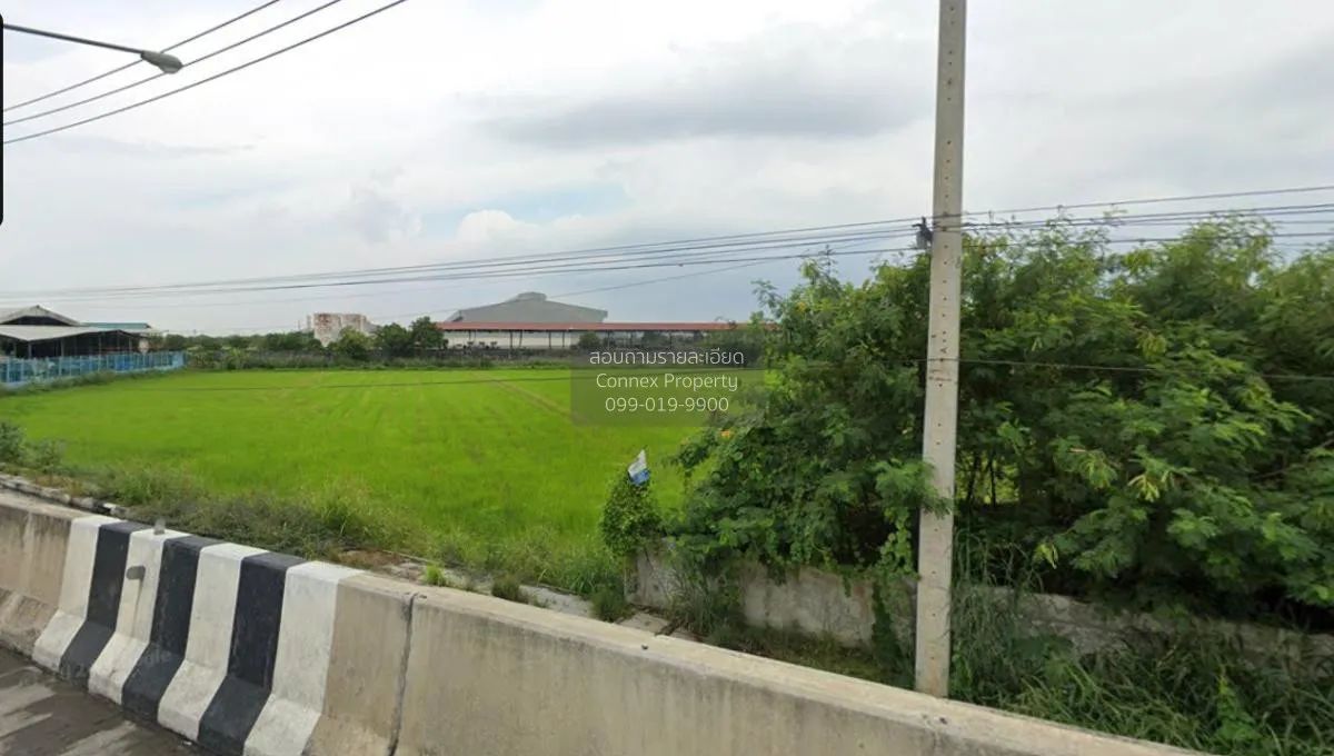 ขายที่ดินเปล่าสามโคก ปทุมธานี คลองควาย สามโคก ปทุมธานี CX-115366 3