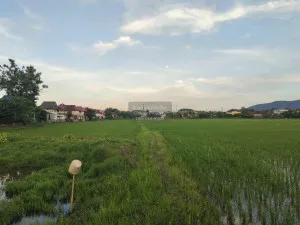 For Sale Vacant land in Mae Kon, Chiang Rai , Tha Sai , Mueang Chiang Rai , Chiang Rai , CX-115372