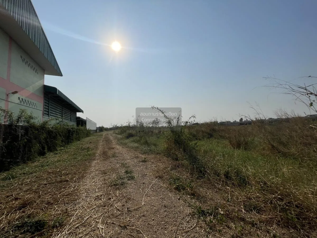 For Sale Empty land for sale along Rojana Road. , Lam Ta Sao , Wa 2