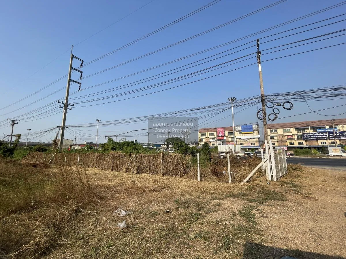 For Sale Empty land for sale along Rojana Road. , Lam Ta Sao , Wa 3