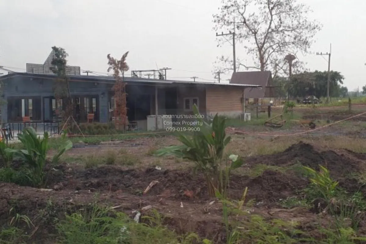 ขายขายที่ดินพร้อมสิ่งปลูกสร้าง ตำบลหัวกระบือ ศีรษะกระบือ องครักษ์