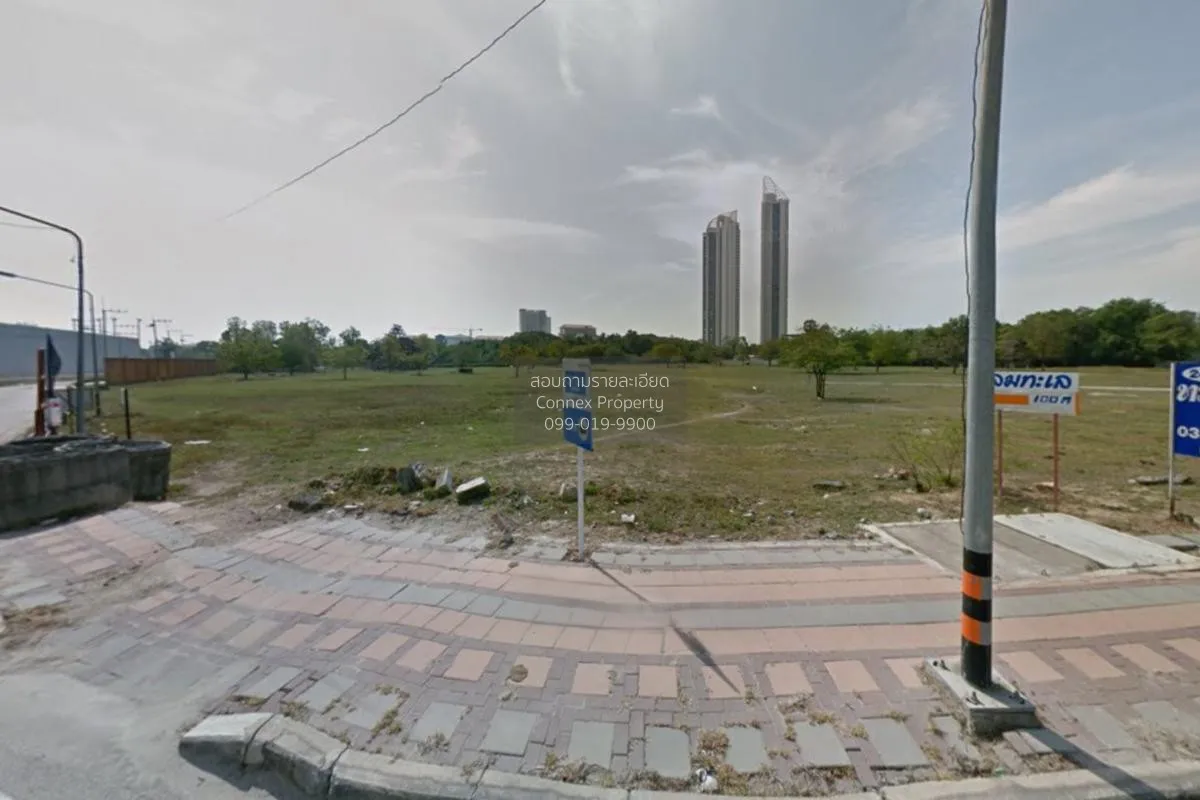 ขายขายที่ดินเปล่า หนองปรือ บางละมุง ชลบุรี บางละมุง เมืองชลบุรี ช 2