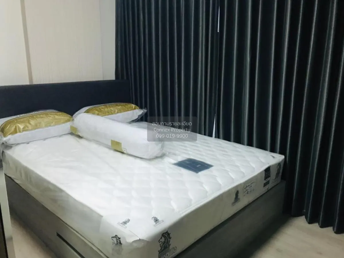 For Rent Condo , D Condo Campus Resort Dome - Rangsit , Khlong Nu 3