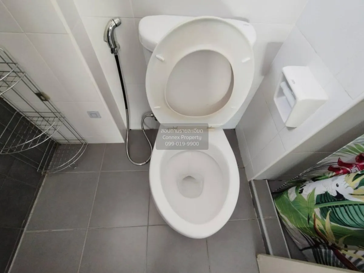 เช่าคอนโด  มาย คอนโด สุขุมวิท 52 BTS-อ่อนนุช บางจาก เขต พระโขนง ก