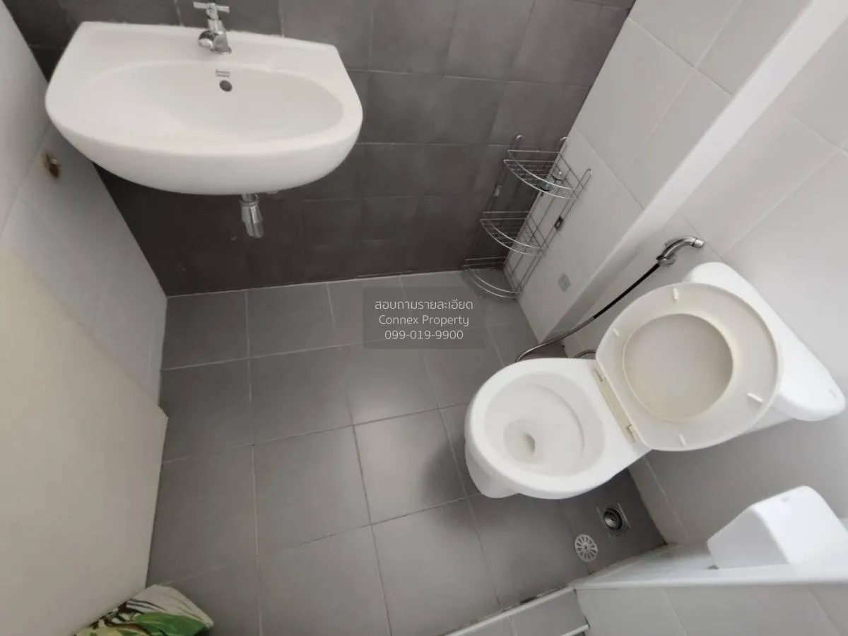 เช่าคอนโด  มาย คอนโด สุขุมวิท 52 BTS-อ่อนนุช บางจาก เขต พระโขนง ก