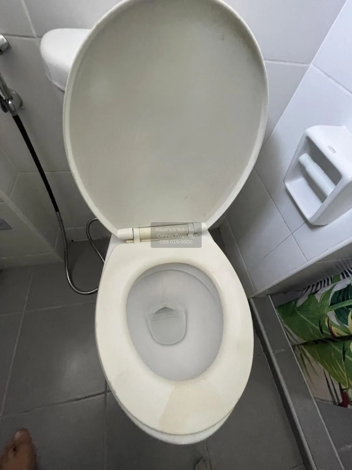 เช่าคอนโด  มาย คอนโด สุขุมวิท 52 BTS-อ่อนนุช บางจาก เขต พระโขนง ก