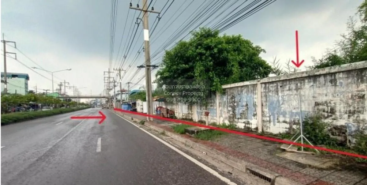 ขายที่ดินเปล่า 18 ไร่ 2 งาน ถนนเศรษฐกิจ 1 จังหมดสมุทรสาคร ท่าไม้  3