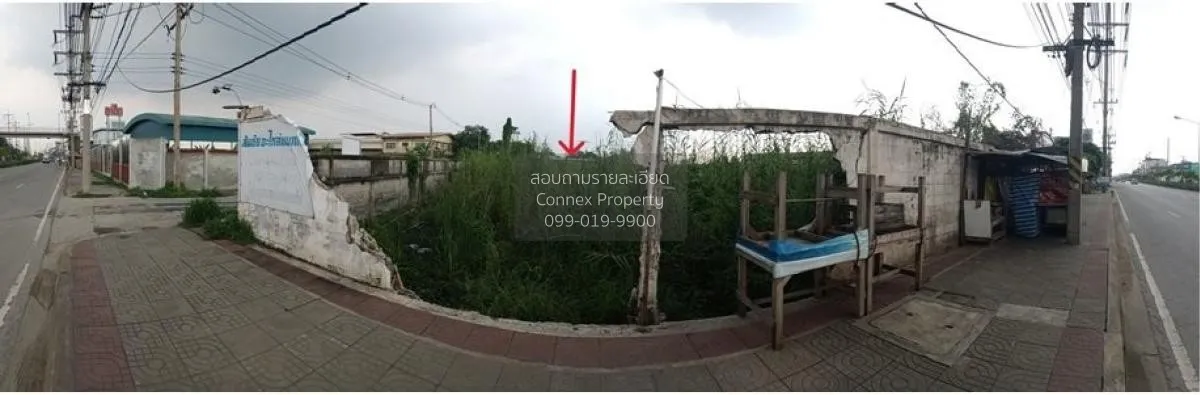 ขายที่ดินเปล่า 18 ไร่ 2 งาน ถนนเศรษฐกิจ 1 จังหมดสมุทรสาคร ท่าไม้  4