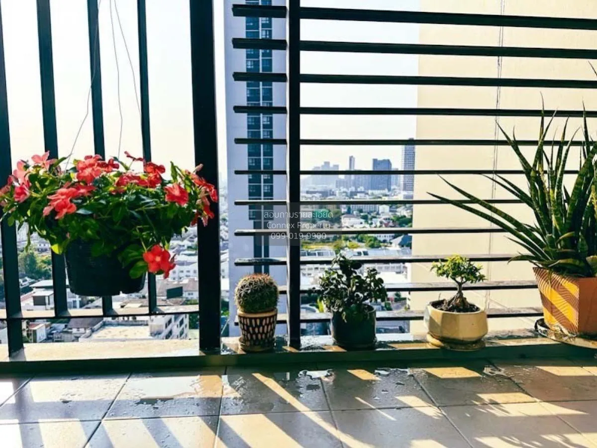 For Rent Condo , Blocs 77 , BTS-On Nut , Phra Khanong Nuea , Watt