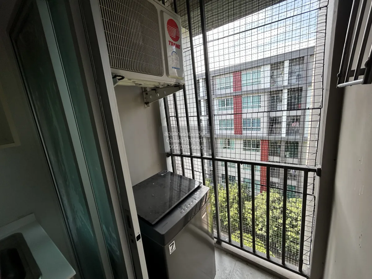 For Rent Condo , Dcondo Campus Resort Bangna , Bang Bo , Bang Bo 
