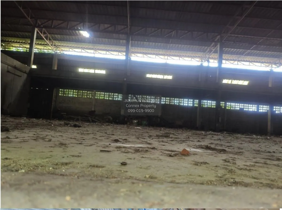 ขายโกดัง 1ไร่  ถนน สันเหมืองเหนือ จังหวัด ลำพูน เหมืองง่า เมืองลำ