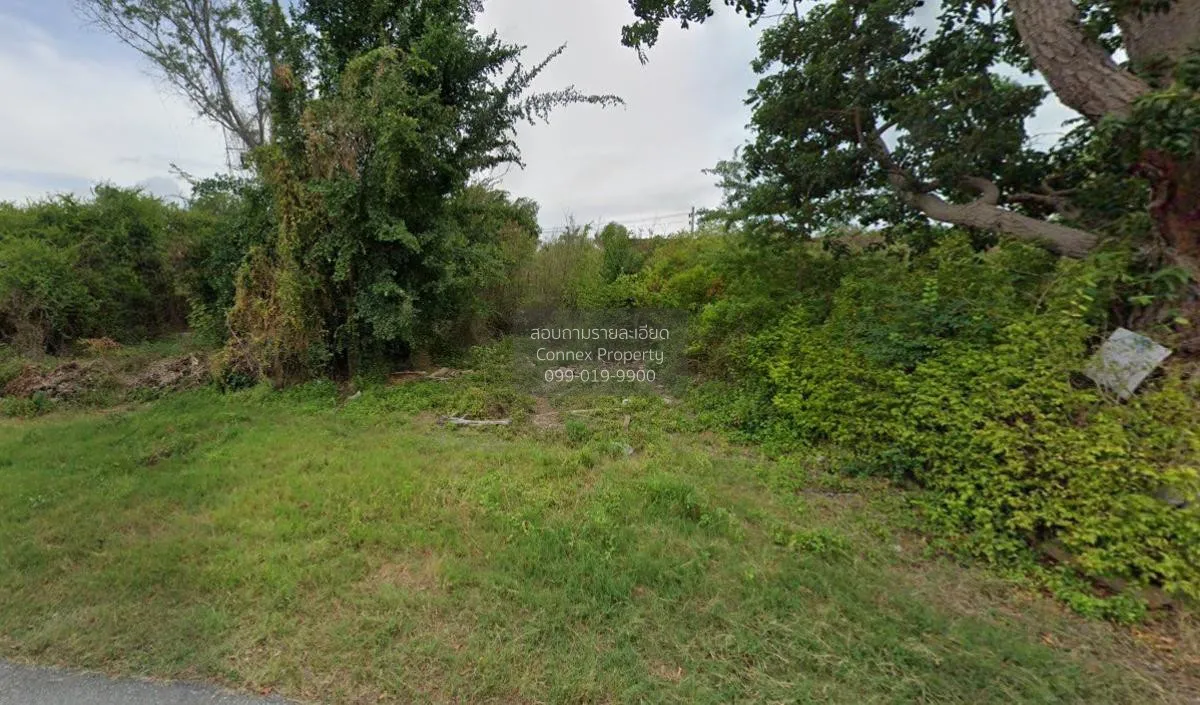 For Sale Vacant Land Near Cha-Am and Hua Hin Beach. , Cha-Am , Ch 3