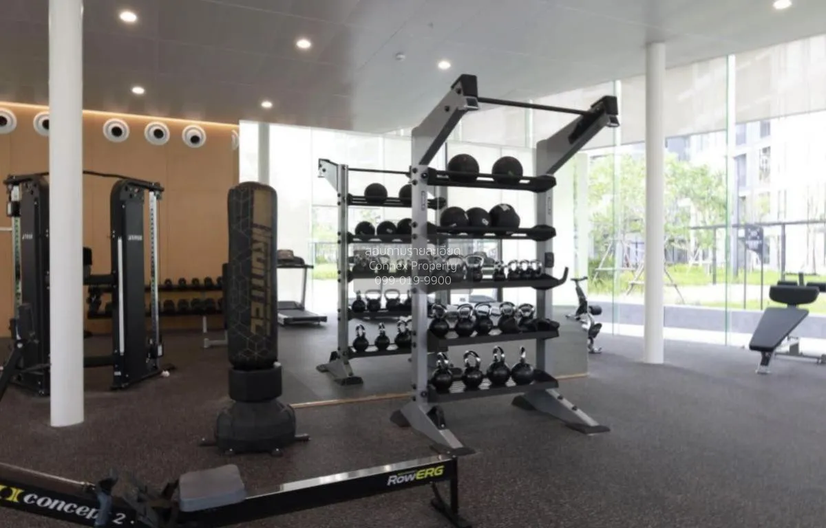 For Rent Condo , SKYRISE Avenue Sukhumvit 64 , Bang Chak , Phra K