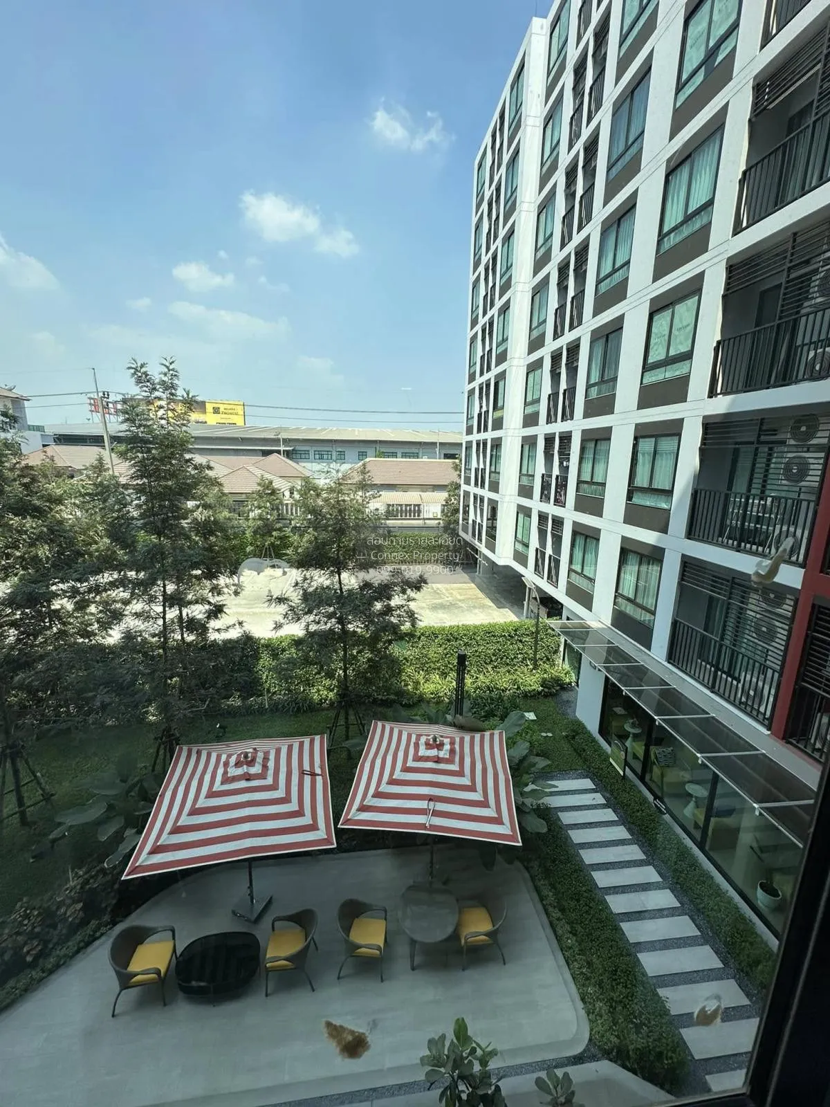 เช่าคอนโด  ดีคอนโด ไฮป์ รังสิต คลองหนึ่ง คลองหลวง ปทุมธานี CX-116