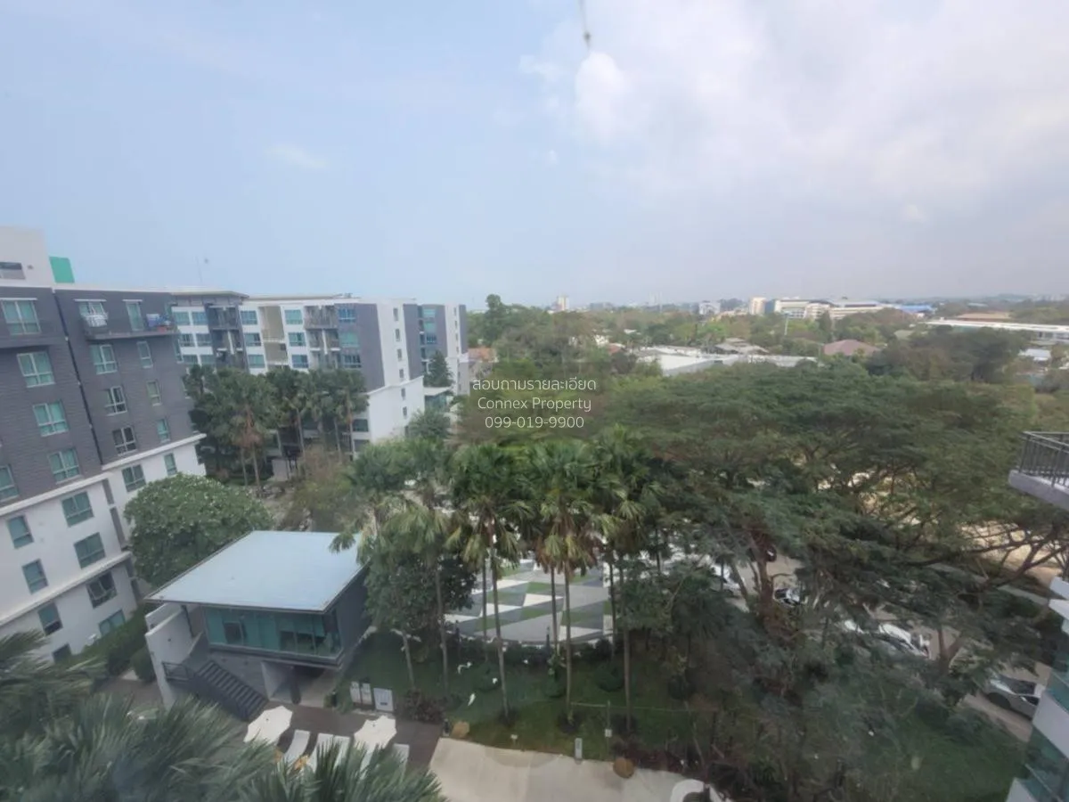 ขายคอนโด  เนทูเรซ่า พัทยาเหนือ นาเกลือ บางละมุง ชลบุรี CX-116881