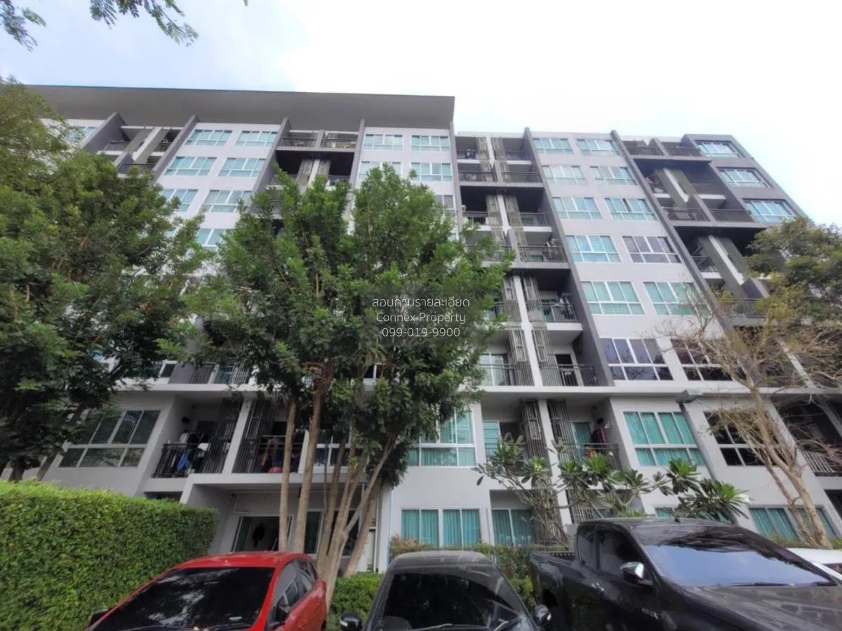 ขายคอนโด  เนทูเรซ่า พัทยาเหนือ นาเกลือ บางละมุง ชลบุรี CX-116885