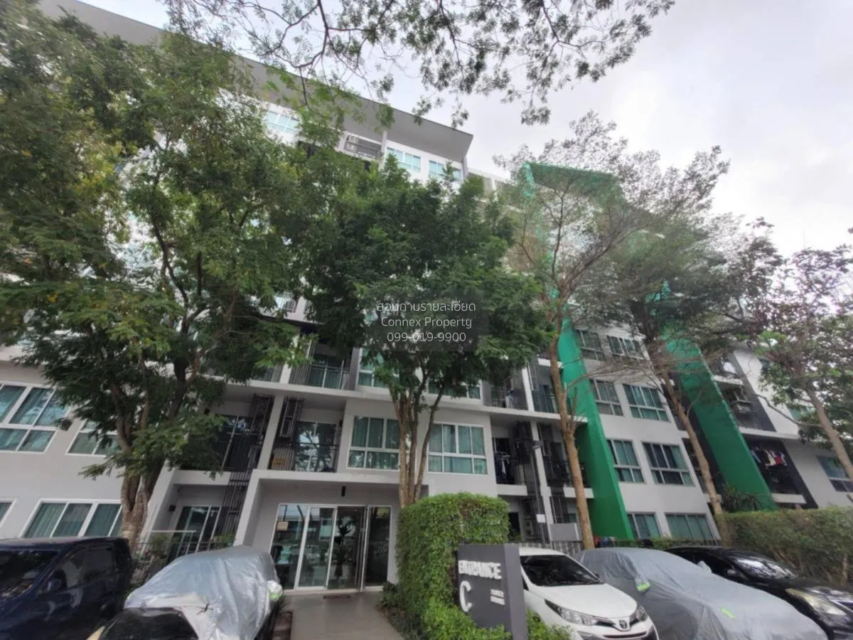 ขายคอนโด  เนทูเรซ่า พัทยาเหนือ นาเกลือ บางละมุง ชลบุรี CX-116889