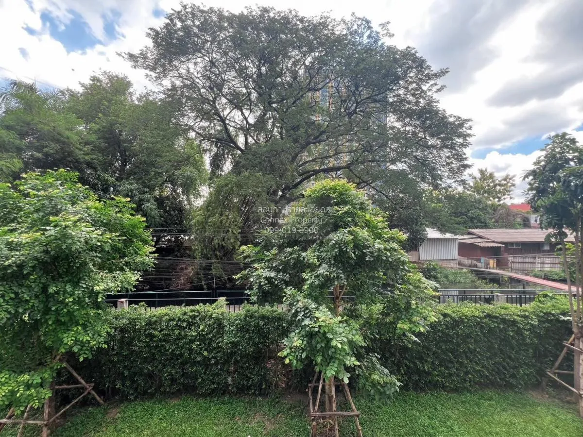 เช่าคอนโด  ไอคอนโด แอคทีฟ พัฒนาการ ARL-หัวหมาก สวนหลวง เขต สวนหลว