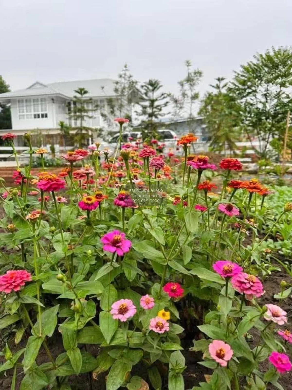 For Sale 2-Story Detached House Tha Makham Kanchanaburi , newly r