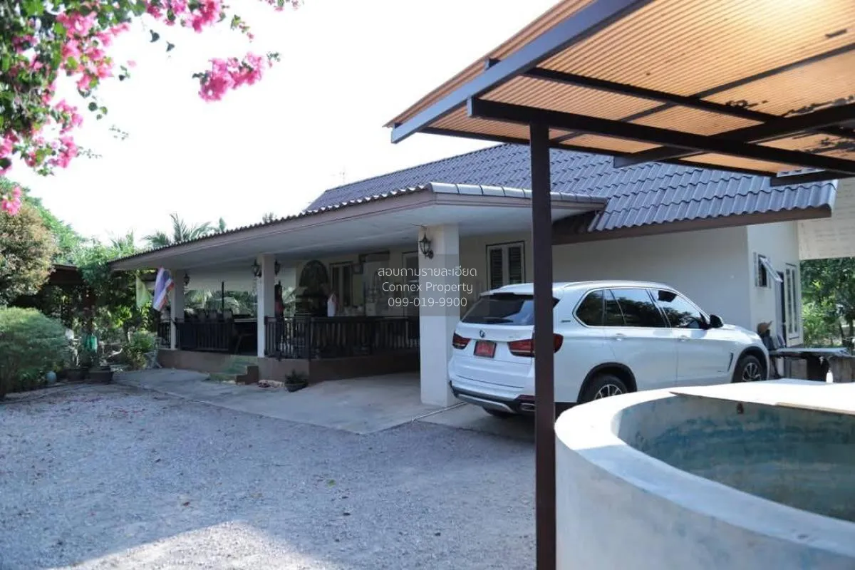 ขายบ้านพร้อมสวนมะพร้าว ราชบุรี คูบัว เมืองราชบุรี ราชบุรี CX-1171 1