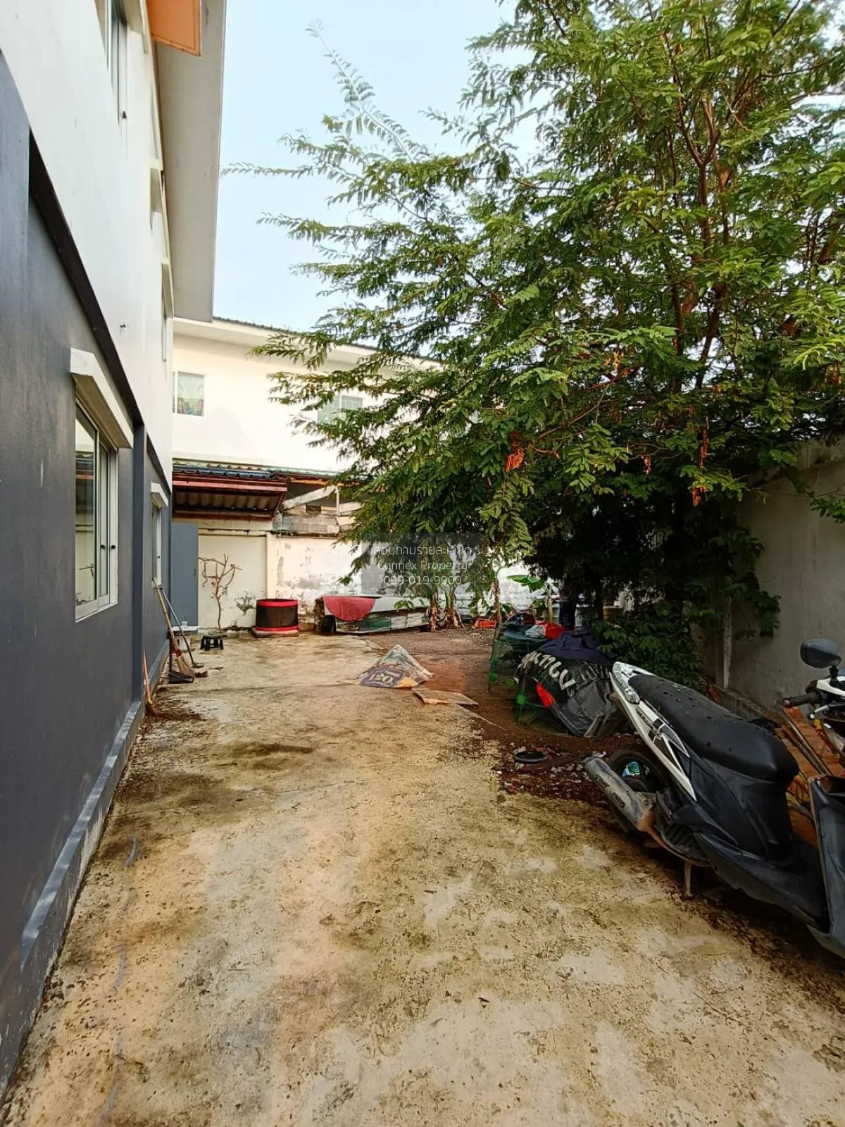 For Sale Townhouse/Townhome  , The Next Sriracha , Bueng , Si Rac 2