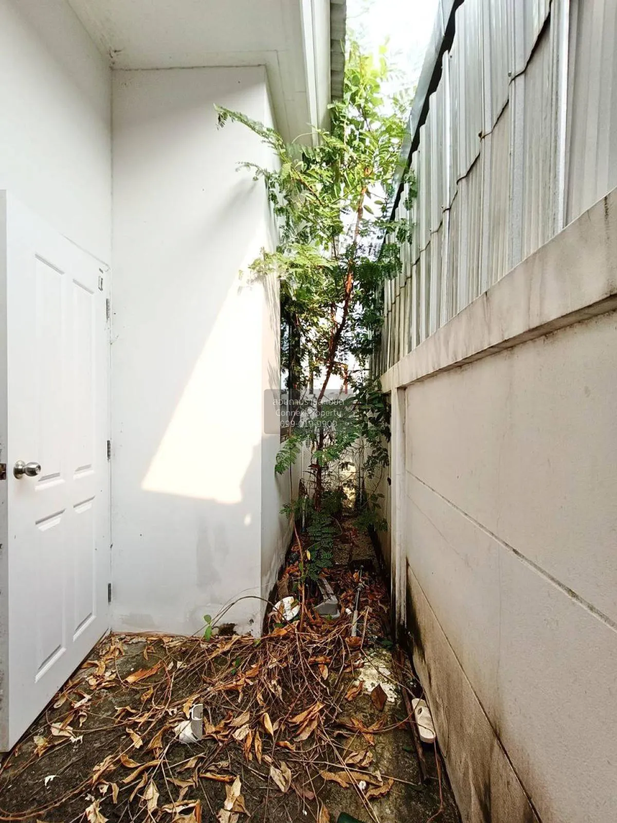 For Sale Townhouse/Townhome  , The Central Town Bueng - Sriracha 