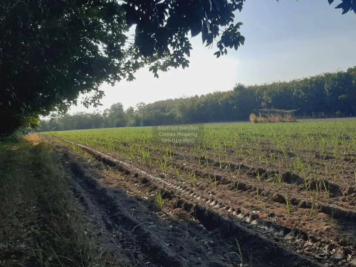ขายที่ดินเปล่า บ้านนากอก บ้านนา นิคมคำสร้อย มุกดาหาร CX-117207 4