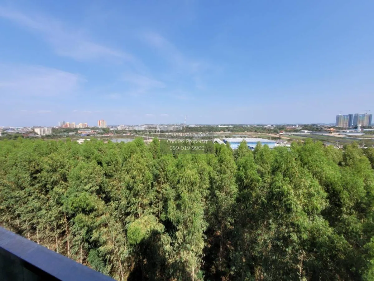 For Sale Condo , Dusit Grand Park , Mueang Phata , Bang Lamung , 